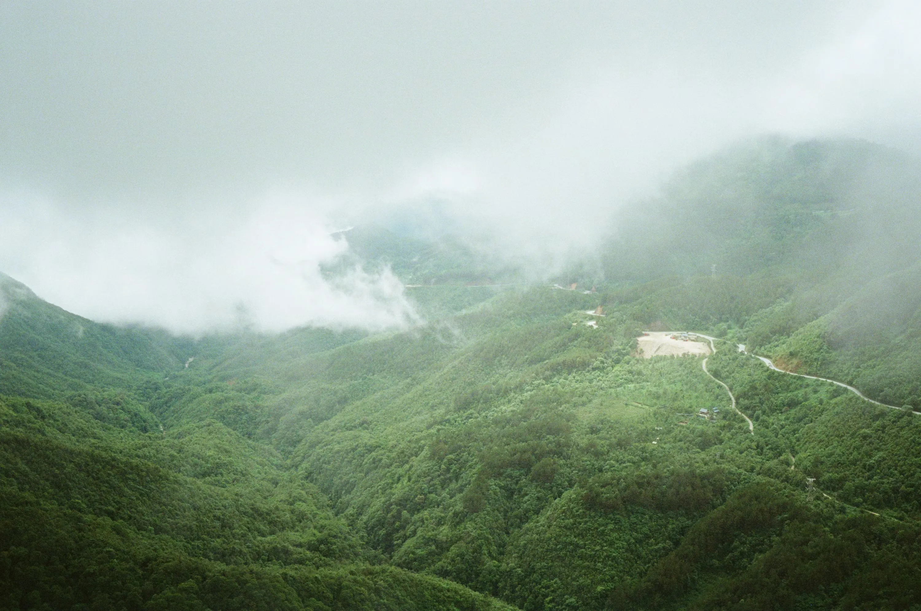Abstract gradient suggesting mist over gentle hills in muted moss greens